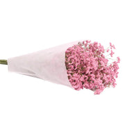 Flowers Real Forever Wedding Decoration Display