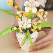 Phalaenopsis Plants Home Decoration Brick Set gift