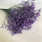 40775908032586|40775908261962|40775908294730|40775908327498|40775908360266