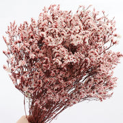 40775906099274|40775906132042|40775906197578|40775906263114|40775906328650