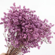 40775906689098|40775906754634|40775906820170|40775906885706|40775906951242