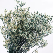 40775907049546|40775907115082|40775907180618|40775907246154|40775907311690