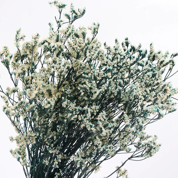 40775907049546|40775907115082|40775907180618|40775907246154|40775907311690