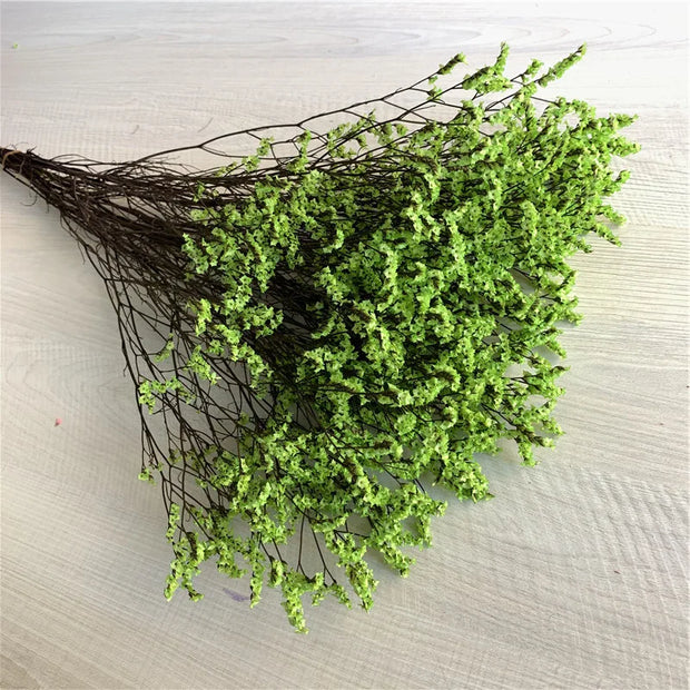 40775908556874|40775908589642|40775908622410|40775908655178|40775908687946