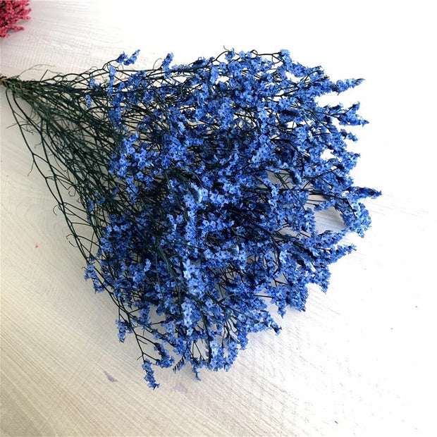 40775907704906|40775907770442|40775907835978|40775907901514|40775907967050