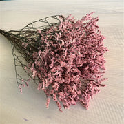 40775908720714|40775908753482|40775908786250|40775908819018|40775908851786