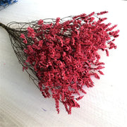 40775908884554|40775908917322|40775908950090|40775908982858|40775909015626