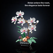 Phalaenopsis Plants Home Decoration Brick Set gift