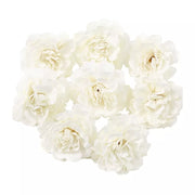 40775915339850|40775915372618|40775915405386