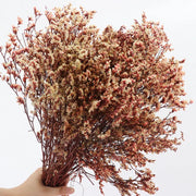 40775906394186|40775906459722|40775906492490|40775906558026|40775906623562