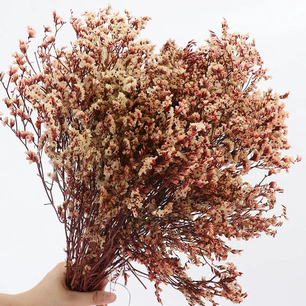 40775906394186|40775906459722|40775906492490|40775906558026|40775906623562