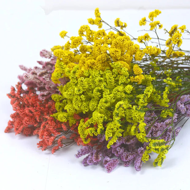 Flowers Real Forever Wedding Decoration Display