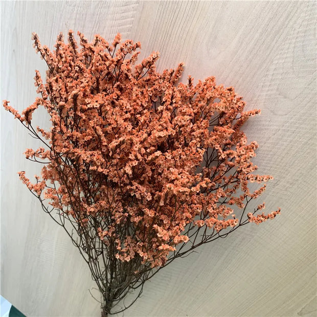 40775909048394|40775909081162|40775909113930|40775909146698|40775909179466