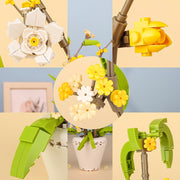 Phalaenopsis Plants Home Decoration Brick Set gift