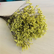 40775908393034|40775908425802|40775908458570|40775908491338|40775908524106