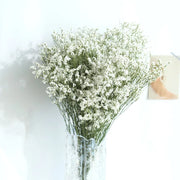 Flowers Real Forever Wedding Decoration Display