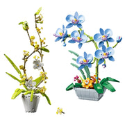 Phalaenopsis Plants Home Decoration Brick Set gift