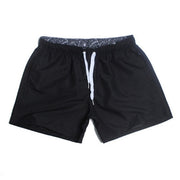 Quick Drying Trunks For Men Swimwear sunga Boxer