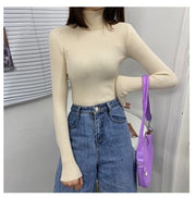 Women Turtleneck Sweaters Autumn Winter Korean Slim Pullover Women Basic Tops Casual Soft Knit Sweater Soft Warm Jumper